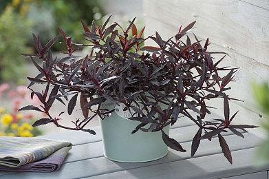 振兴乡村真实经历改编游戏《越过重山》Steam页面上线 第一季度发售