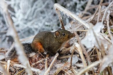 暴雪：《暗黑破坏神4》第五赛季新波次生存模式“炼狱大军”很适合刷金刷材料